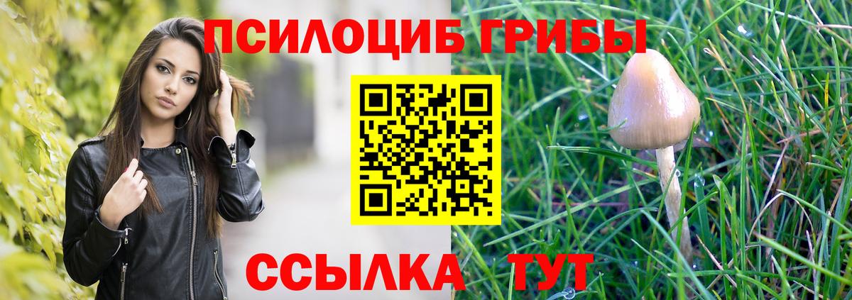 Псилоцибиновые грибы мицелий Асино