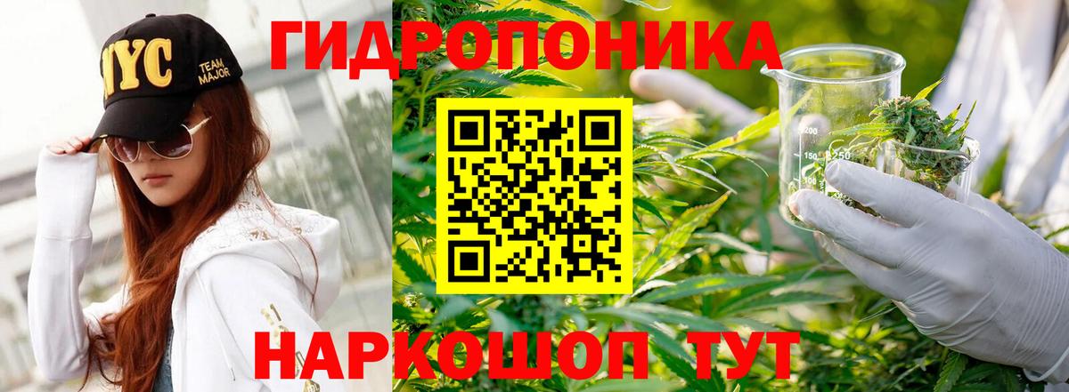 Каннабис White Widow Асино
