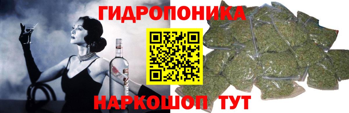 Асино  Бошки Шишки планчик  Конопля тримм  Вход с VPN 